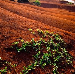 《地下城与勇士：决斗》“圣骑士”演示视频 12月18日开启公测